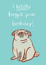 Belated Birthday Funny Cute Pug Dog Card created by Anne Berry