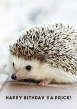 cute funny Card 29279 created by Luke Shepherd