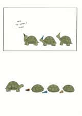Cute Birthday Card - Tortoise - Hide! created by Redback Cards