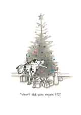 #christmas #dogs Christmas Card 23415 created by Siobhan Barlow