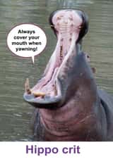 Card 29514 created by Shed Simove