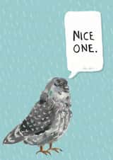 pigeon congratulations Graduation Card 7713 created by Little Birds Talk + Paper Hawk