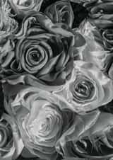 Elegant silver Card 29895 created by Herbert and Wilks