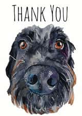 dog thank Thank You Card 1579 created by Jo Scott Art