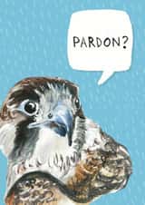 falcon perregrin Card 29860 created by Little Birds Talk + Paper Hawk