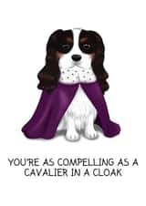 compelling cavalier Valentines Day Card 26353 created by Tessa Cheung