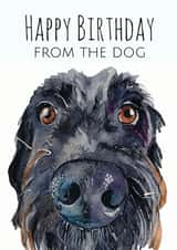 dog Adult Birthday Card 1580 created by Jo Scott Art