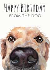 woof happy Birthday Card 1581 created by Jo Scott Art