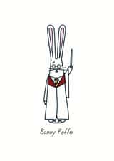 Bunny Potter created by Hoppy Bunnies