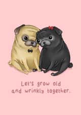 Cute Pug Anniversary Card / Valentines Day Card - Let's Grow Old And Wrinkly Together created by Katie Corrigan