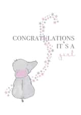 new baby New Baby Card 7750 created by House of Hope