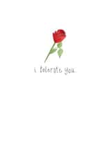 i tolerate Valentines Day Card 28469 created by Rachel Storey Illustration