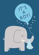 baby new New Baby Card 3791 created by Wink Design - Michelle Roberts