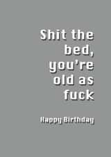 birthday funny Birthday Card 7428 created by Potty Mouth