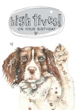 birthday dog Birthday Card 8288 created by Dotty Dog Art