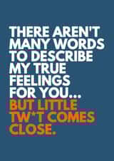 Funny And Rude Card - There Aren't Many Words To Describe My True Feelings For You... But Little Tw*t Comes Close created by Redrakoon