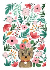 yorkie terrier Just because Card 1186 created by Anna Alekseeva