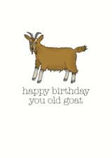 Cheeky Birthday Card - Goat - Happy Birthday You Old Goat created by Becka Griffin