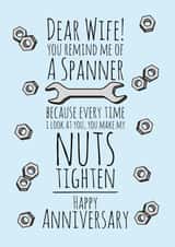 funny joke Anniversary Card 9583 created by RS Graphics