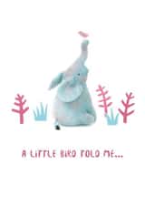 Elephant Congratulations Pregnancy Card 9631 created by Lindsey Thomas