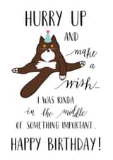 cat funny Birthday Card 32198 created by Miümi Cat