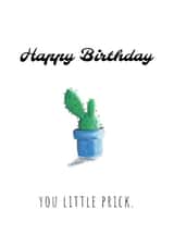 cactus prick Birthday Card 29918 created by Lou La La