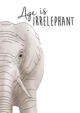 Age Elephant Birthday Card 9810 created by Mayfield Valley