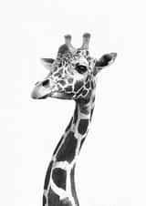 forkids christening Card 32918 created by INSPIRE