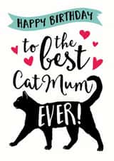 cat best Birthday Card 9879 created by Jon Hall Design