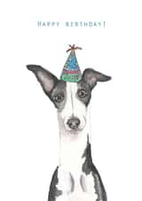 greyhound hat Birthday Card 31701 created by Harriet Lowther