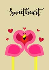 flamingo flamingos Card 33269 created by Jennifer Jahromi