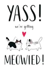 We're getting meowied - Wedding day card created by Miümi Cat