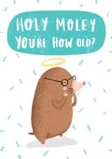 funny wordplay Birthday Card 2155 created by Charly Clements