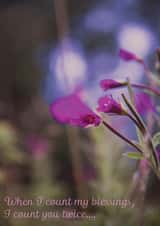 nature Friendship Card 33460 created by Patricia Naish Pet Photography