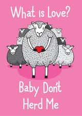 love sheep Love & Friendship Card 33685 created by Pukka Design