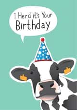 Party cow birthday card created by Pukka Design