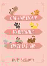 funny cat Birthday Card 33782 created by PAPR Boutique