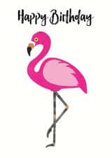 happy flamingo Birthday Card 32948 created by Chameleon and Co