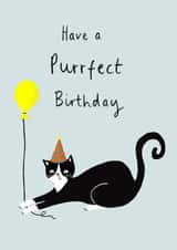 Funny Birthday Card – Have A Purrfect Birthday Cat created by Just like Sophie