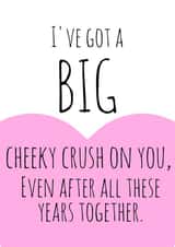 anniversary husband Love & Friendship Card 33085 created by Flamingo Lingo by Jenny