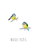 bluetit tits Valentines Day Card 7760 created by Lou La La