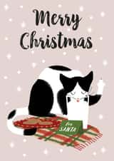 cheeky merry Christmas Card 7579 created by Chelsey Adams