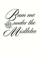 naughty rude Christmas Card 11896 created by Holy Flaps