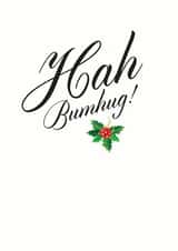 bah humbug Card 11897 created by Holy Flaps