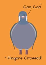 pigeon coo Card 34127 created by DainaCrafts