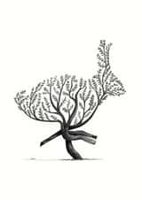 Rabbit Animal Card 34217 created by Mucky Duck Studio