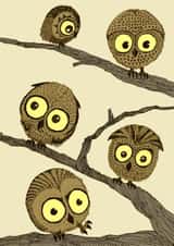 owl owls Card 26125 created by D J R Bennett