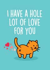 Funny Cat Bum Anniversary Card / Valentines Day Card - I Have A Hole Lot Of Love For You created by Thirty Mussels