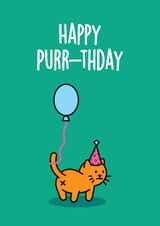 Cat funny Birthday Card 8536 created by Thirty Mussels