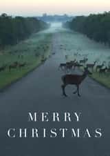 Male Female Christmas Card 22085 created by Simon Baxendale